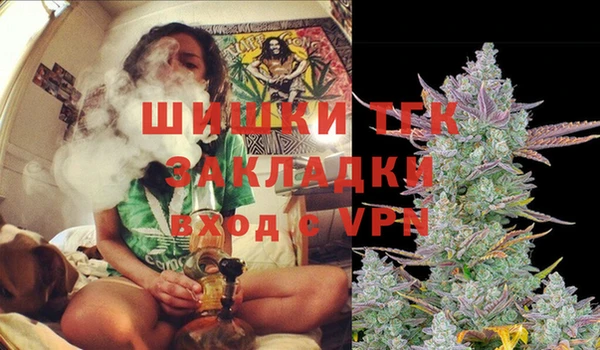 прущие грибы Арсеньев