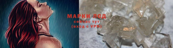 прущие грибы Арсеньев