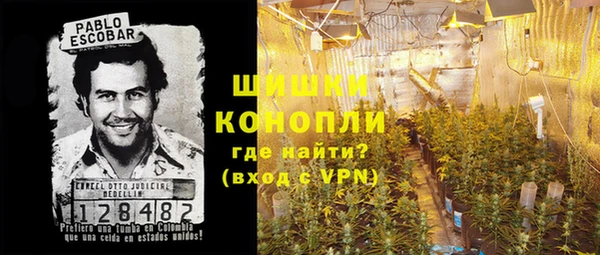 прущие грибы Арсеньев