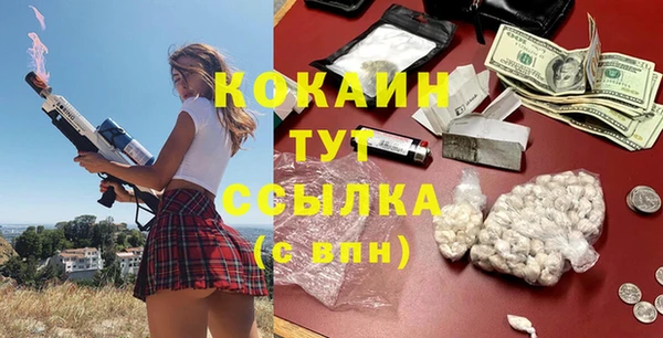 прущие грибы Арсеньев